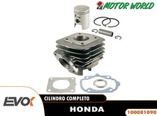 Cylindre Evok Honda Sfx 50