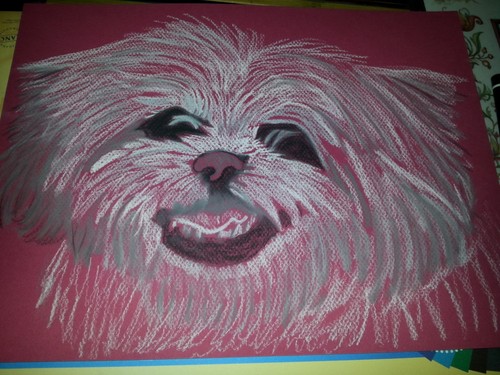 Pastel bichon sur - de,