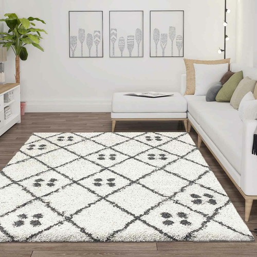 Poils longs shaggy - poils, tapis