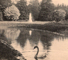 Antique RPPC Petit Bassin