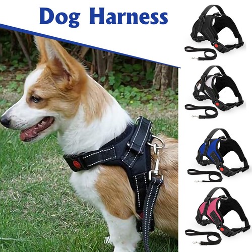 Chien harnais sécurité pour - chien,