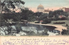 C158  New York  City Central Park with Temple Beth El vintage postcard