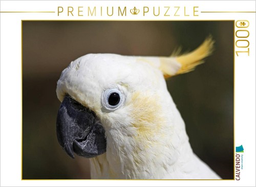 Puzzle calvendo portrait un - portrait, d'un