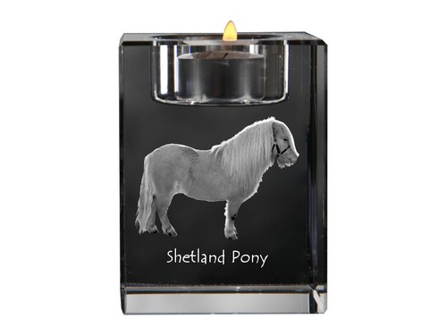 Poney shetland porte bougie - shetland, en