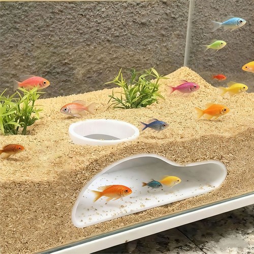 Enrichissement pour animaux - , de