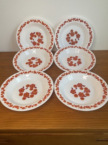 Assiettes creuses arcopal - 6,