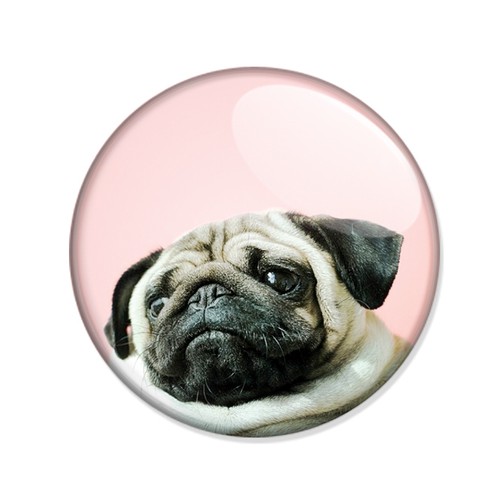 Badge petit chien - badge, french