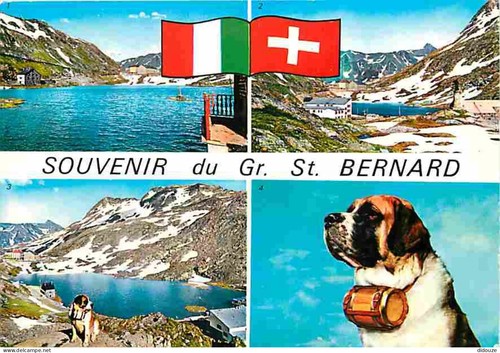 Carte postale animaux - carte,