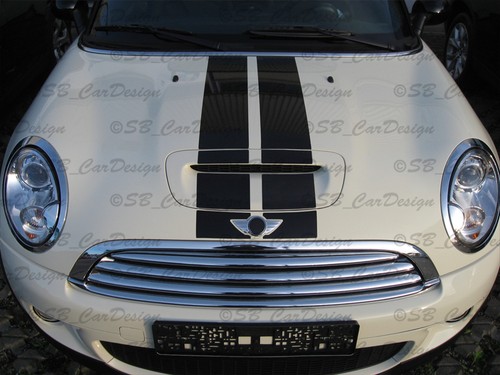 Autocollants viper stripes - viper,