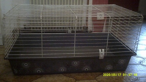 Grande cage tbe petits - grande, en
