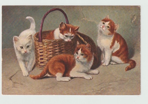 Chats chatons cpa 8121 - ,