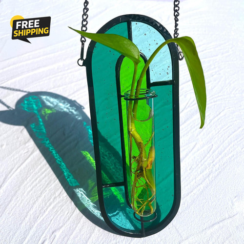 Hanging plant propagation - plant,