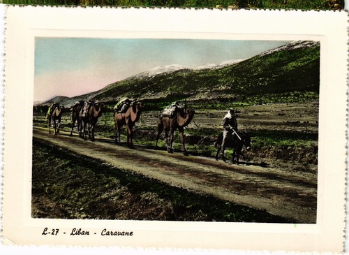 Cpm caravane lebanon - cpm,