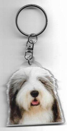 Bearded collie chien - collie, porte