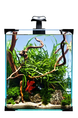 Aquariums set nano - led, 10l