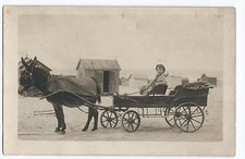 BM763 Vintage Photo Card RPPC Animals Hat Hat Kid Cart