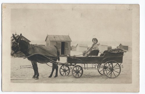 Bm763 carte photo - photo, vintage