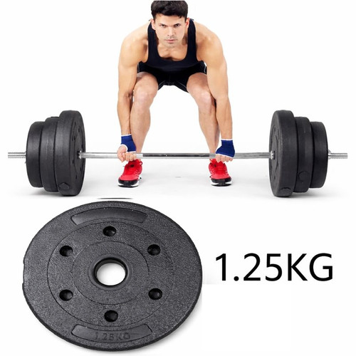Disques poids 25 kg - 1.25,