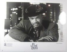 IN LIVING COLOR ORIGINAL DAMON