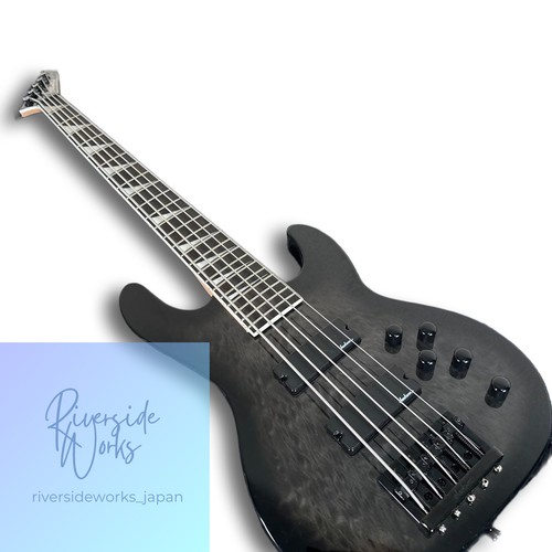 Incrustation requin basse - requin,