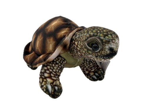 Doudou terre tortue - tortue, reptile