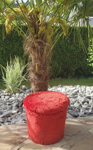 Ancien pouf coffre moumoute - coffre,