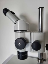 Stereo Microscope Wild