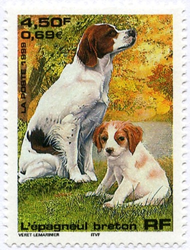 Timbre france neuf 1999 chien - neuf,
