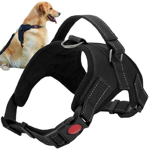 Harnais pour chien - , sans