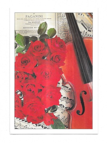 Rare carte postale violon - rare,