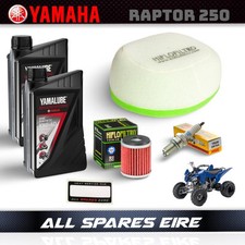 Yamaha Raptor YFM250R 250cc