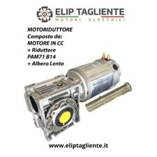 Moteur Réducteur 12V 800W 65 RPM DC Treuil Salpa Rete Traction À Batterie