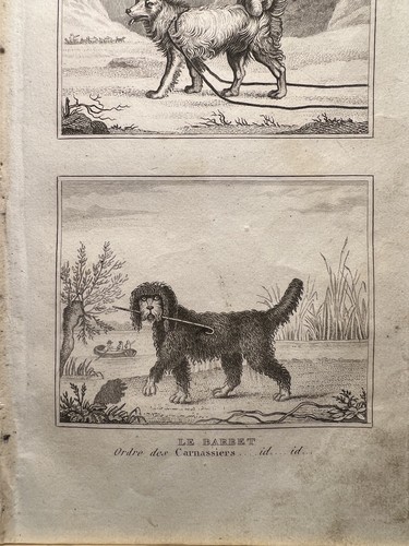Illustration ancienne 1835 - illustration,