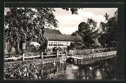 Carte postale neukloster - postale,