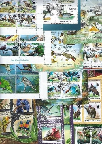 Animaux oiseaux blocs - animaux,
