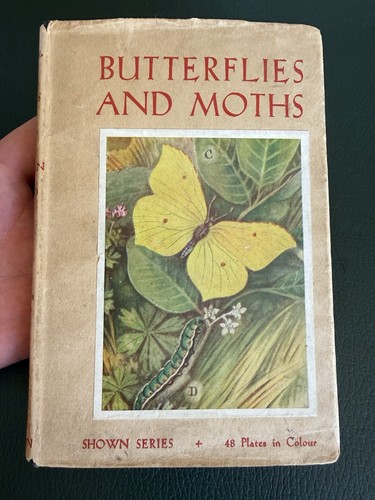 Butterflies moths shown to - butterflies,