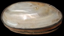 Mother of Pearl Box