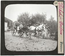 Vertou, horse carriage, dog, old photo glass plate, positive 8.5x10 cm