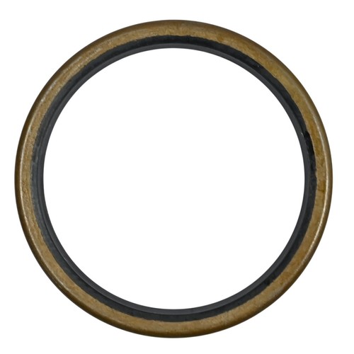Swiss joint pour roue libre - dt,
