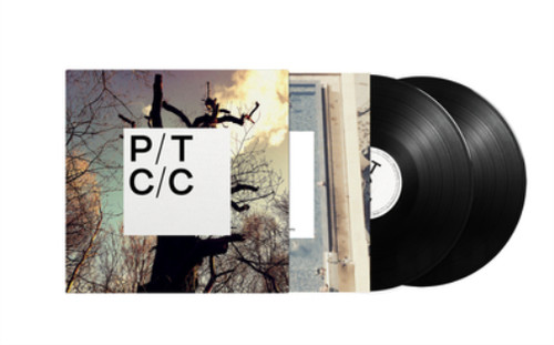Porcupine tree - porcupine,