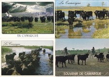 Lot de 4 cartes postales