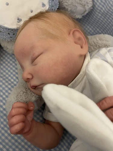 Bébé reborn - bébé,