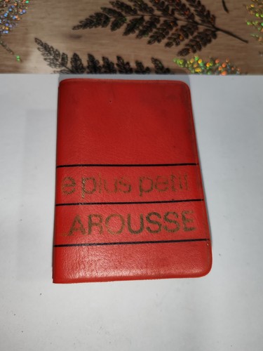 Dictionnaire plus petit - dictionnaire,, le