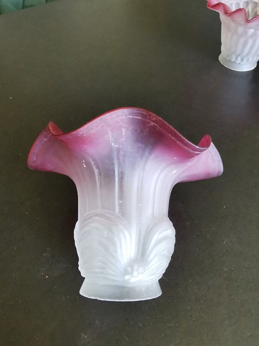Tulipe eclairage lampe petrole - lampe,