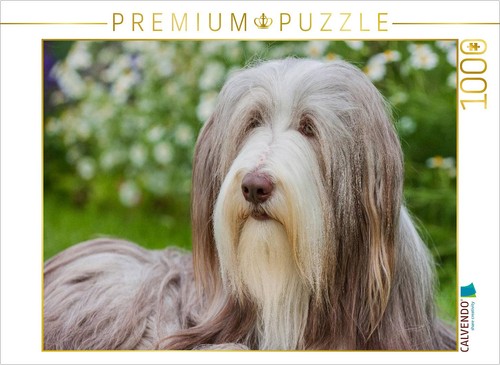 Calvendo puzzle bearded collie - calvendo,