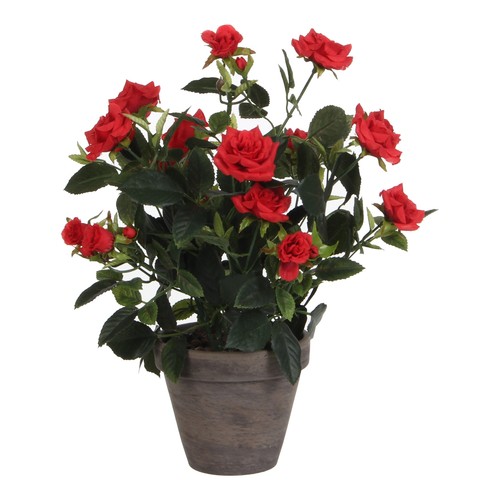 Mica decorations plante - mica,