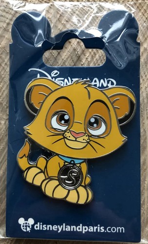 Pin broche disneyland - pin’s,
