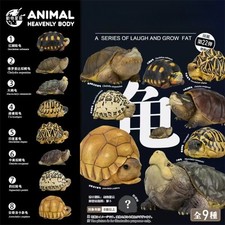 Animal Planet Tortoise Series