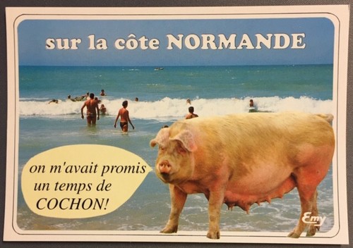 Carte postale humoristique - humoristique,