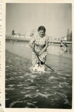 Photo taken in Westende Belgium Dog in the water